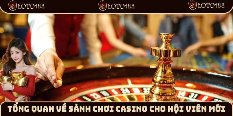 Tổng quan về sảnh chơi casino cho hội viên mới